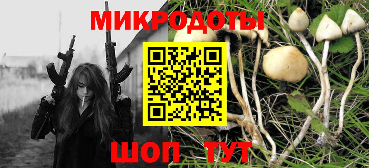 Рославль  Псилоцибиновые грибы мухоморы  даркнет сайт  Вход с VPN  Псилоцибиновые грибы Psilocybe 